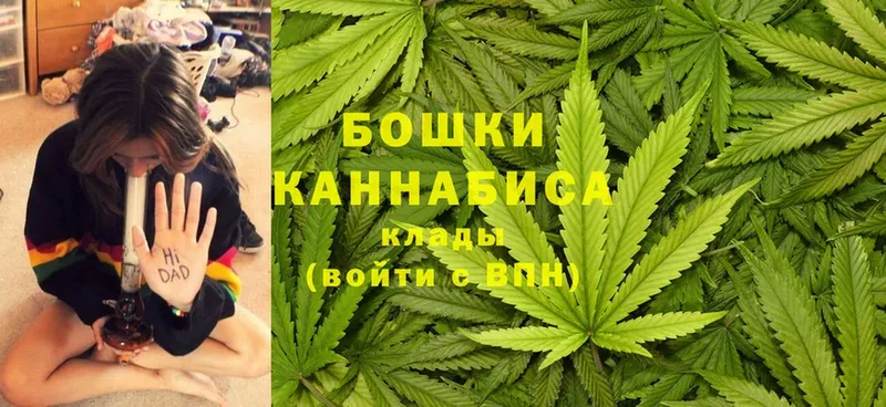 где купить наркотик  Кирсанов  МАРИХУАНА White Widow 